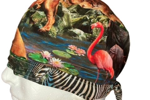 Lions and Flamingos