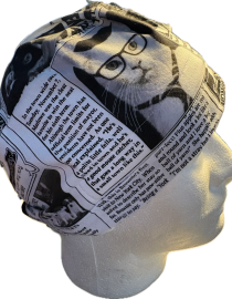Cat Newspaper
