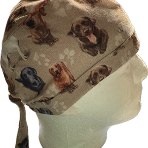Labradors all Colors