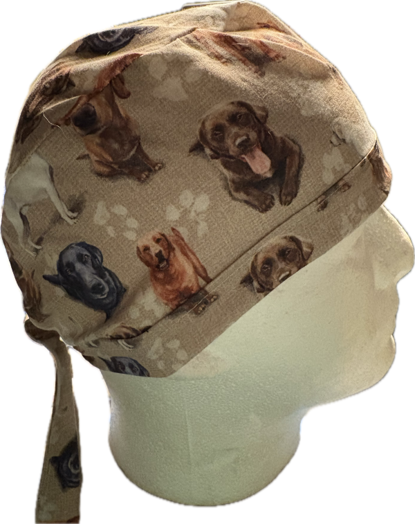 Labradors all Colors