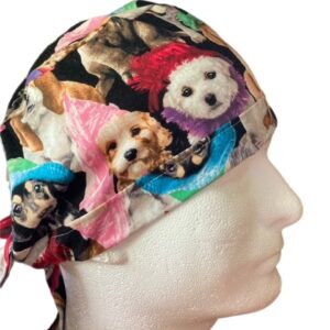 Dogs in Hats