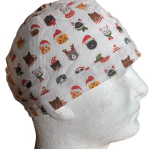 Cats in Hats and Scarves