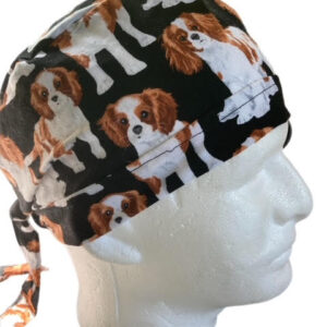 King Charles Cavalier Spaniel