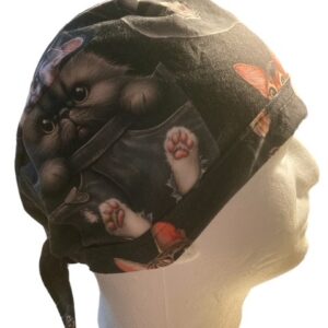 Cats in Pockets