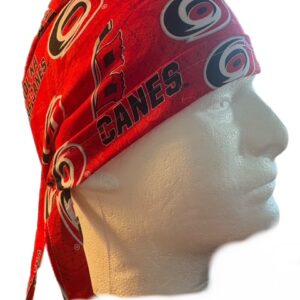 Hurricanes
