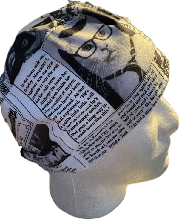Cat Newspaper