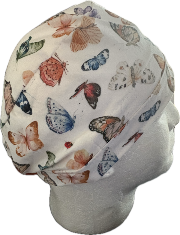 Various Butterflys